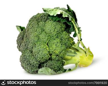 Big broccoli florets with leaves rotated isolated on white background