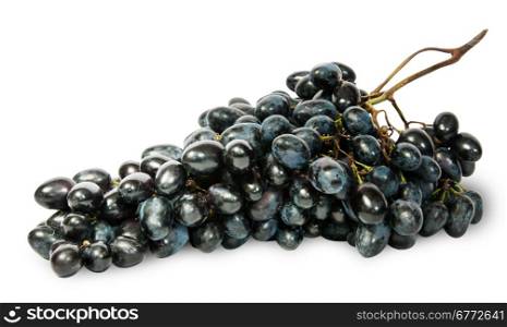 Big bunch of ripe dark grapes isolated on white background