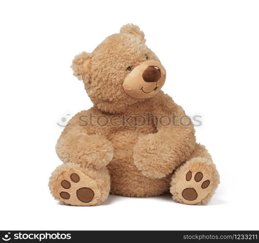 big curly brown teddy bear sits on a white isolated background, funny children`s toy