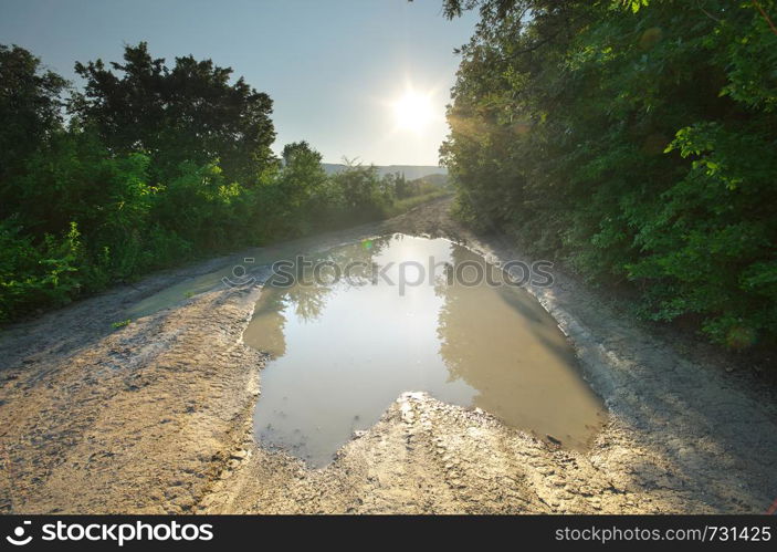 Big dirt pool on road. Nature composition.