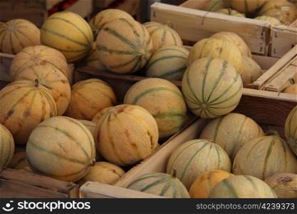 Big fresh melons at a Provencal market in France