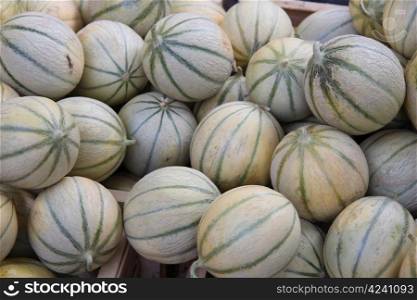 Big fresh melons at a Provencal market in France