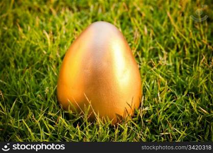Big golden egg on the grass