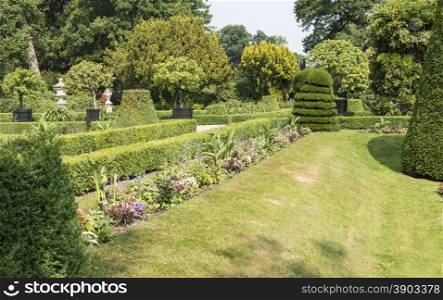 big green garden with levels and borders