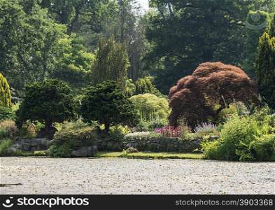 big green garden with water pond and decorated plants and trees