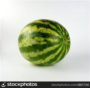 big green striped whole watermelon on a white background, summer berry