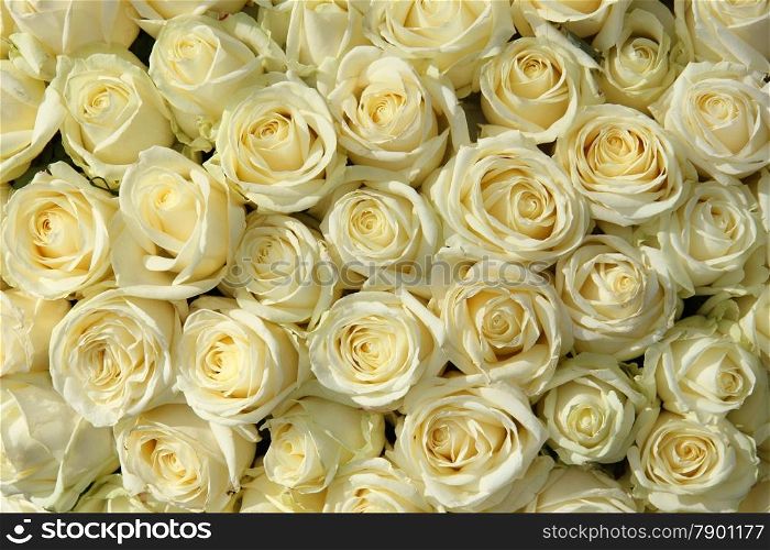 Big group of white roses as part of floral wedding decorations