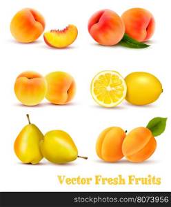 Big Group Of Yellow And Orange Fruits. Vector.