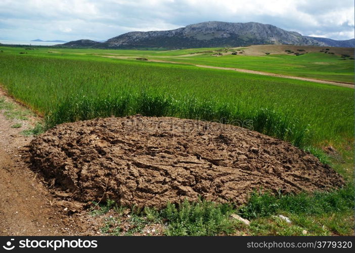 Big heap of manure on the green field in Turkey