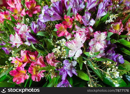 Big multicolor alstroemeria (magenta - pink - red) wonderful summer flowers bouquet