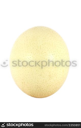 Big ostrich egg isolated on white background