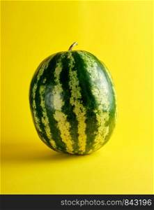 big oval green striped whole watermelon on a yellow background, summer berry