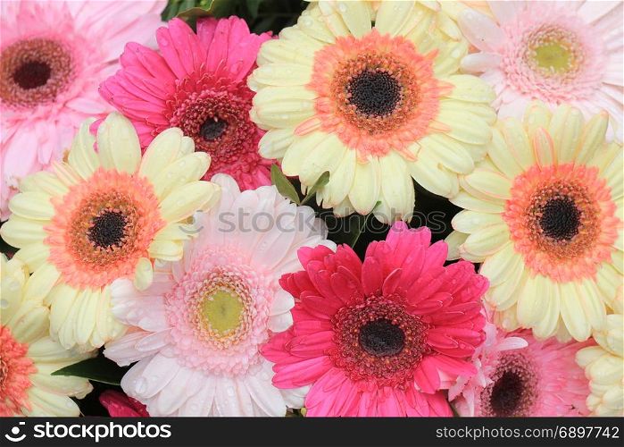 Big pastel gerbers in a flora wedding decoration