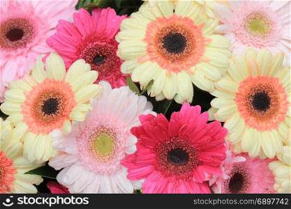 Big pastel gerbers in a flora wedding decoration