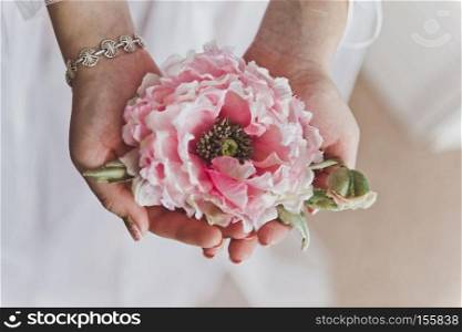 Big pink flower in female hands.. Pink flower in female hands 6370.