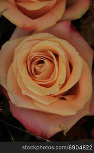 Big pink roses in a floral wedding arrangement