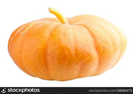 Big pumpkin isolated on white background, close up