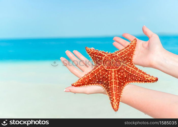 Big red starfish in female hands on tropical beach. Tropical white sand with red starfish in clear water