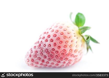 big red strawberry in frost isolated on white