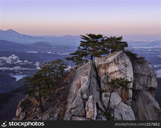 Big rock and a forest with coniferous trees in korean mountains. Seoraksan National Park
