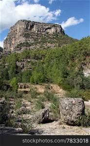 Big rock in Koprulu canyon, south Tuekey