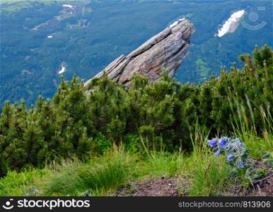 Big rocky boulder on summer mountain ridge, Carpathian, Chornohora, Vuhatyj Kaminj, Ukraine.