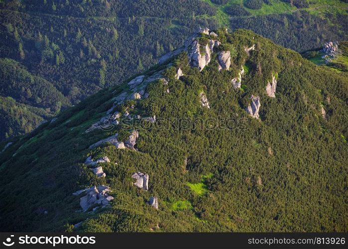 Big rocky boulders on summer mountain ridge, Carpathian, Chornohora, Ukraine.