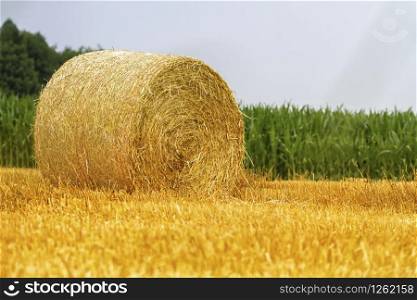 Big round bale of straw in a field after harvest by cloudy day. Big round bale of straw in a field after harvest