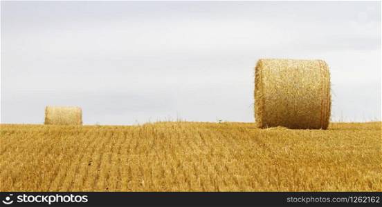 Big round bales of straw in a field after harvest by cloudy day. Big round bales of straw in a field after harvest