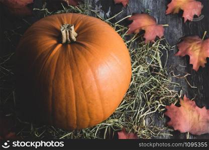 Big rural decorative orange pumpkin on rustic wooden background with rural hay and autumn foliage as festive holiday decor for thanksgiving or halloween.