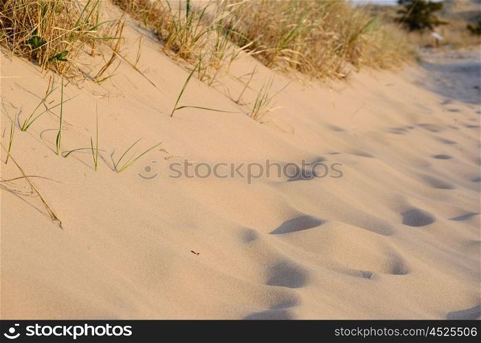 Big Sable Point Dunes, Michigan, USA