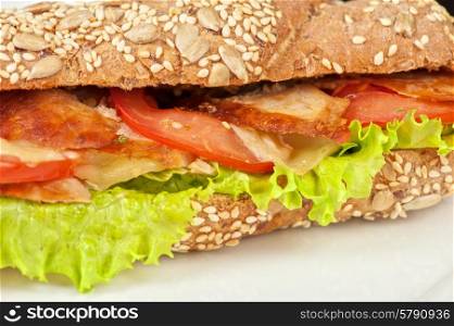 Big sandwich . Big sandwich closeup with meat and vegetables