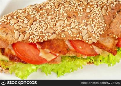 Big sandwich closeup with meat and vegetables