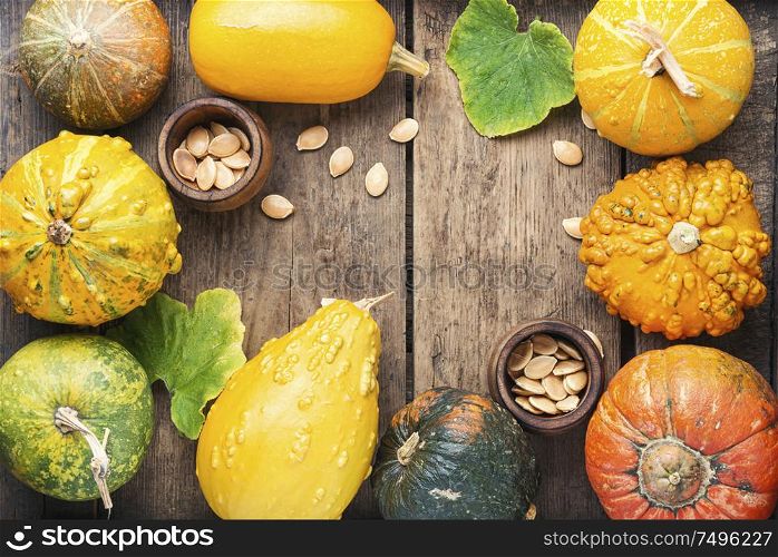 Big set of autumn pumpkins on old wooden table.Autumn composition. Assortment of autumn pumpkins
