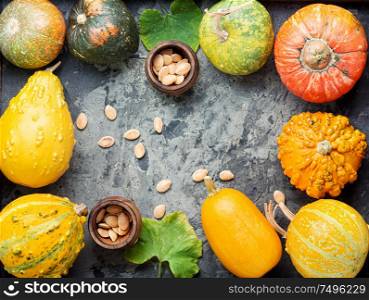 Big set of autumn pumpkins on old wooden table.Autumn composition. Assortment of autumn pumpkins
