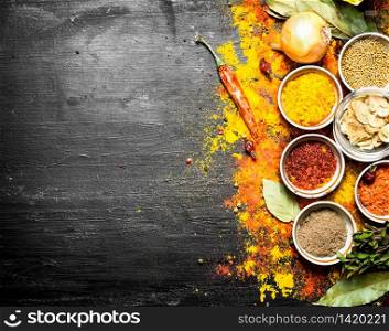 Big set of Indian spices and herbs . On the black chalkboard.. Big set of Indian spices and herbs