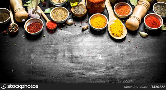 Big set of Indian spices and herbs . On the black chalkboard.. Big set of Indian spices and herbs