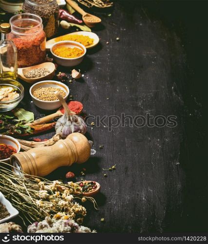 Big set of Indian spices and herbs . On the black chalkboard.. Big set of Indian spices and herbs