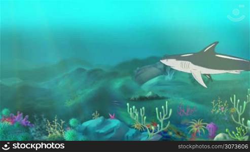 Big shark swimming in a ocean. Full color handmade animation in HD