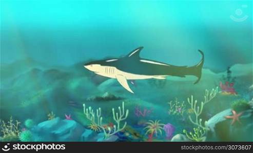Big shark swimming in a ocean. Full color handmade animation in HD