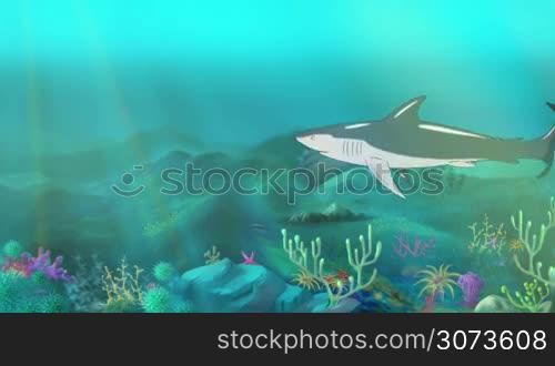 Big shark swimming in a ocean. Sudden shark attack. Full color handmade animation in HD
