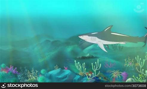 Big shark swimming in a ocean. Sudden shark attack. Full color handmade animation in HD