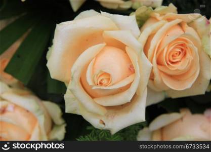 Big soft pink or orange roses in a flower arrangement