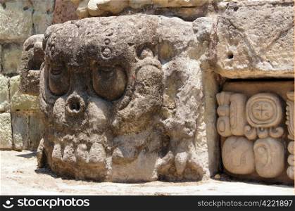 Big stone skull on the mayan pyramid in Copan, Honduras