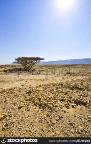 Big Stones in Sand Hills of Samaria, Israel