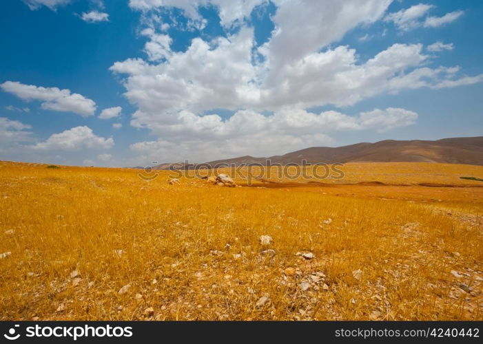 Big Stones in Sand Hills of Samaria, Israel