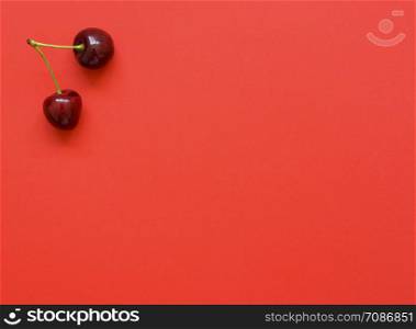 Big sweet cherry on a bright coral background. Sweet cherries close up. Summer flat lay berry background. Top view.. Big sweet cherry on a bright background