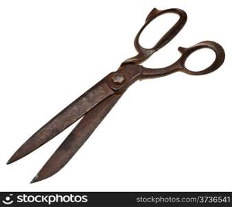 big tailor scissors isolated on white background