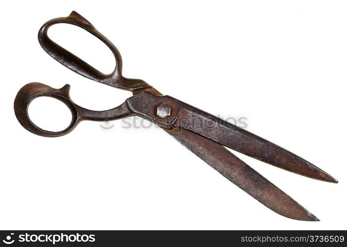 big tailor shears isolated on white background