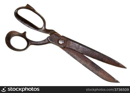 big tailor shears isolated on white background